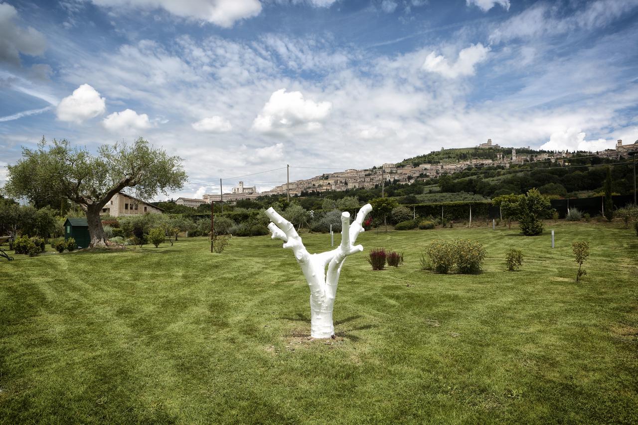Tenuta San Masseo - Boutique Farm Resort & Spa Assisi Bagian luar foto