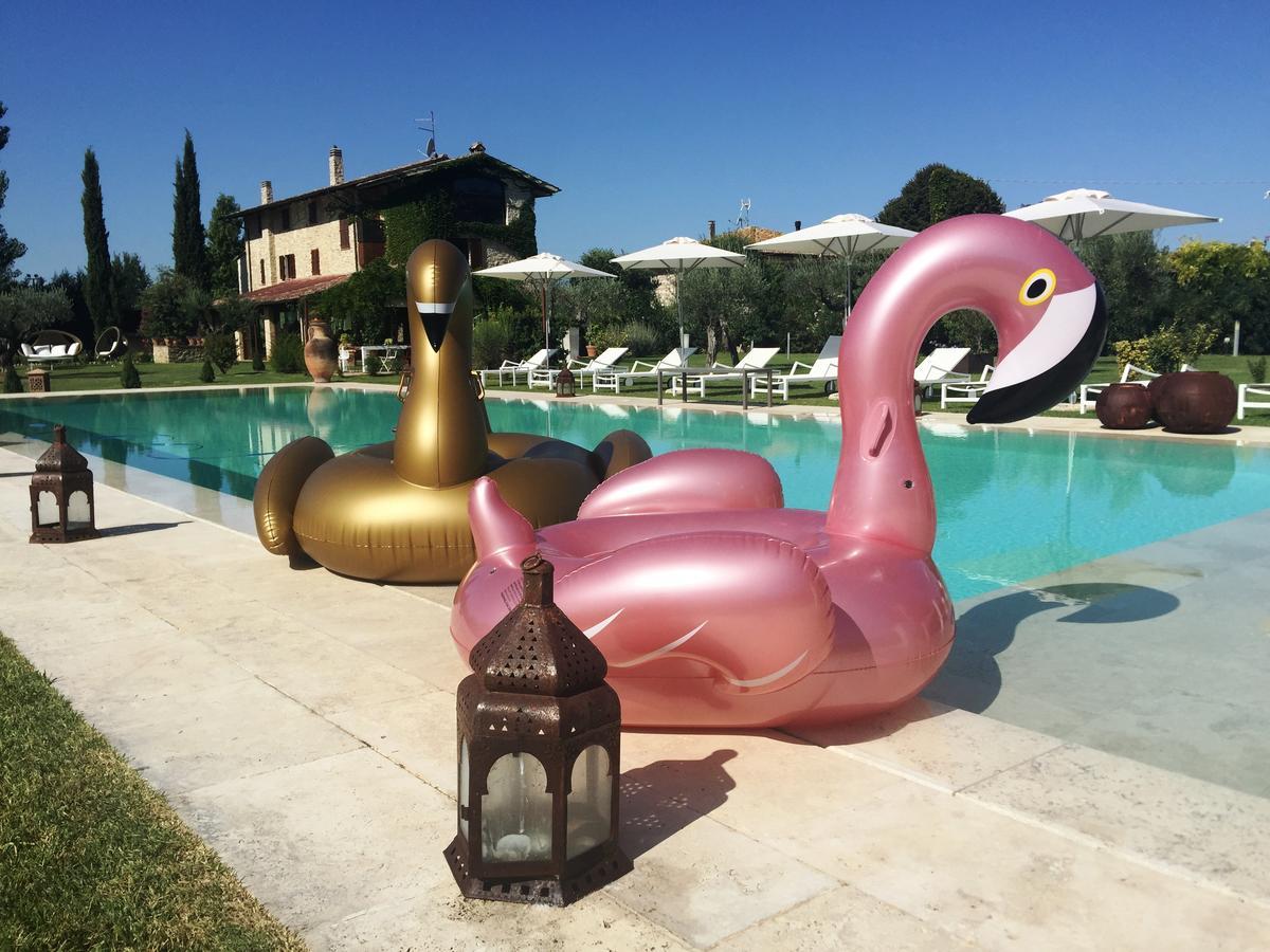 Tenuta San Masseo - Boutique Farm Resort & Spa Assisi Bagian luar foto